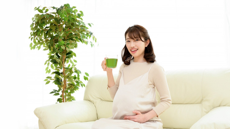 副作用がないべにふうき緑茶は、妊婦さんや病気の方でも飲める