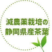 減農薬栽培の静岡県産茶葉