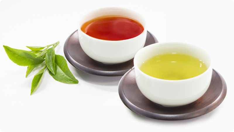 べにふうき緑茶とべにふうき紅茶の違いは？花粉対策ならべにふうき粉末緑茶がおすすめ！